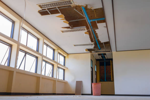Best Flooded house restoration  in Littlerock, CA