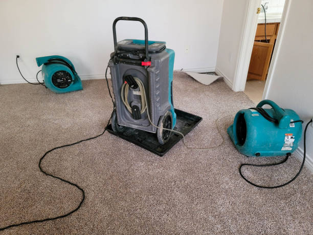 Best Local water damage restoration  in Littlerock, CA
