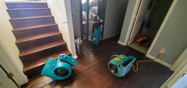 Best Flood restoration services  in Littlerock, CA