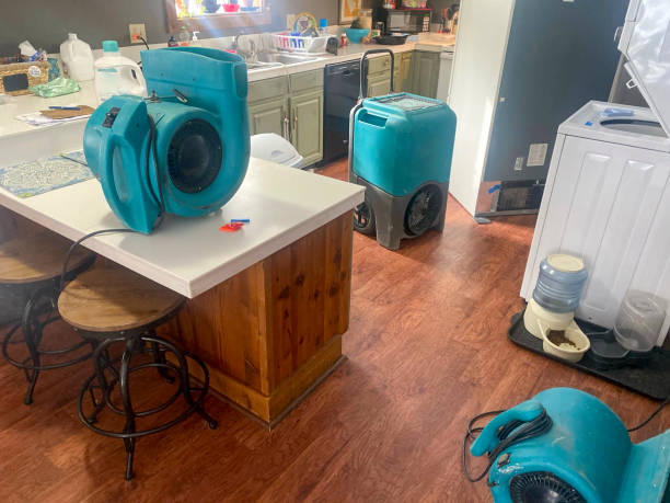 Best Mold removal after water damage  in Littlerock, CA