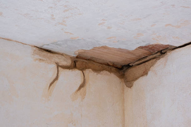 24/7 water damage repair in CA