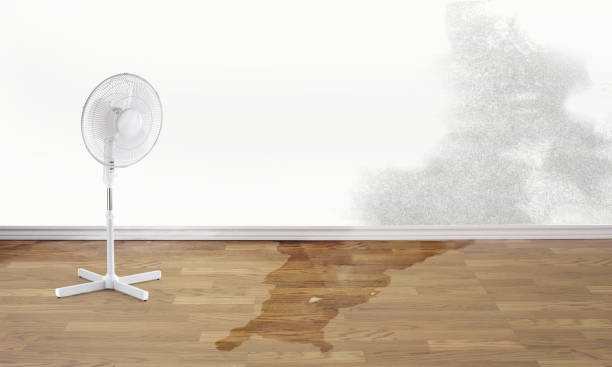 Best Fire Damage Restoration  in Littlerock, CA