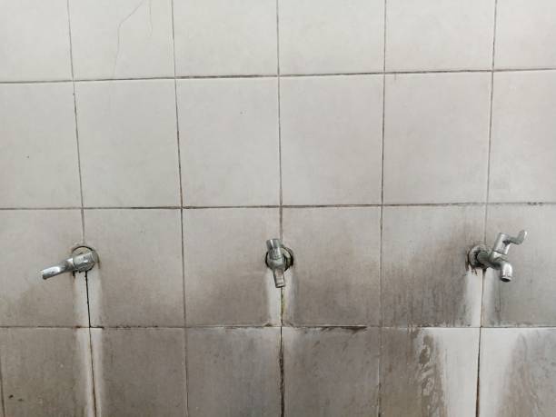 Best Water damage restoration near me  in Littlerock, CA