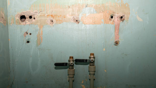 Best 24-hour water damage restoration  in Littlerock, CA
