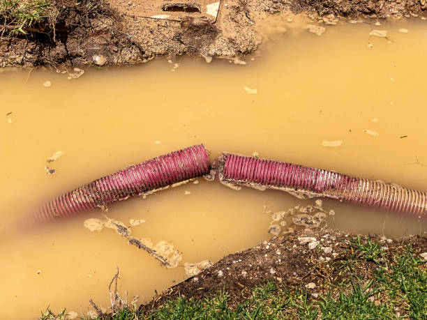 Best Water damage restoration services  in Littlerock, CA