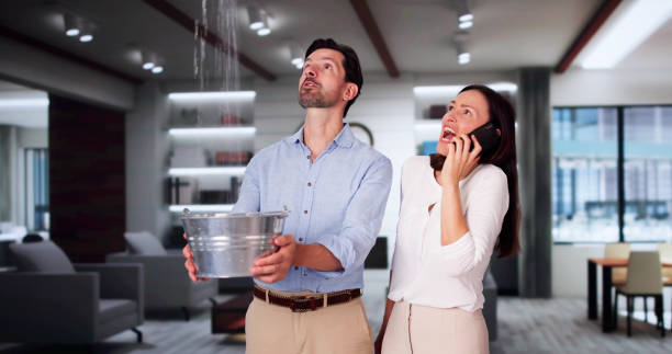 Best Water damage contractors near me  in Littlerock, CA