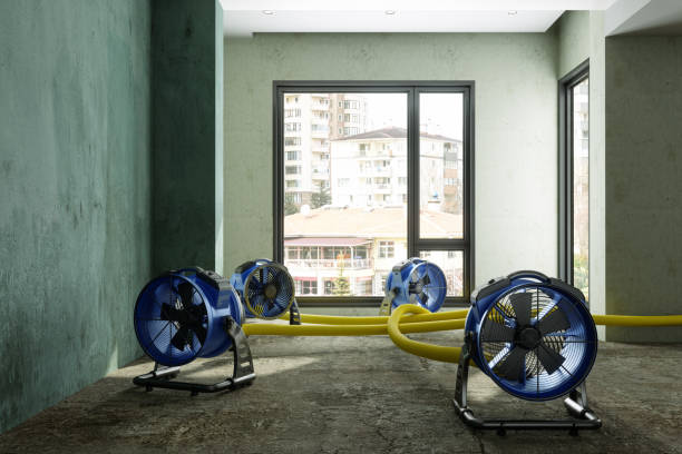 Best Water damage restoration process  in Littlerock, CA